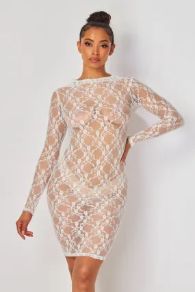Baecation Lace Mock Neck Long Sleeve Mini Dress