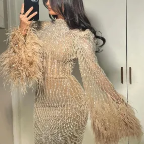 Feather Embellished Evening Gown with Long Sleeves