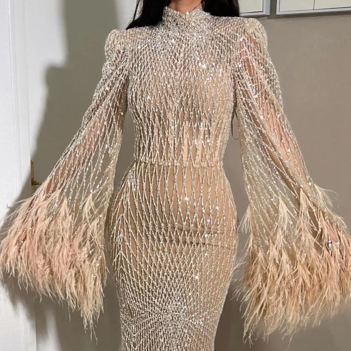 Feather Embellished Evening Gown with Long Sleeves