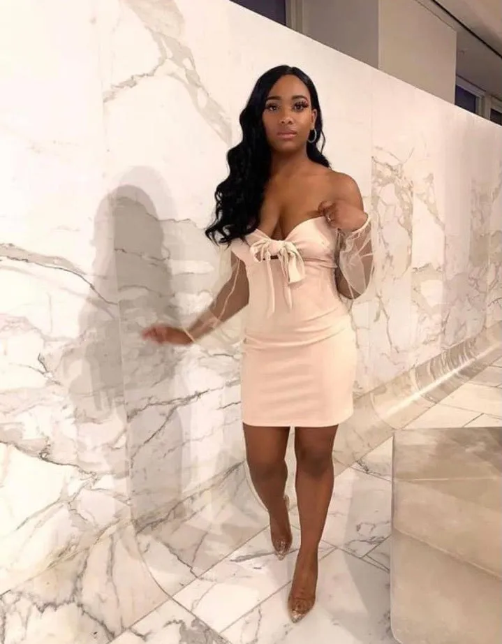 Pastel Tie Up Detail Long Sheer Sleeve Bodycon Mini Dress