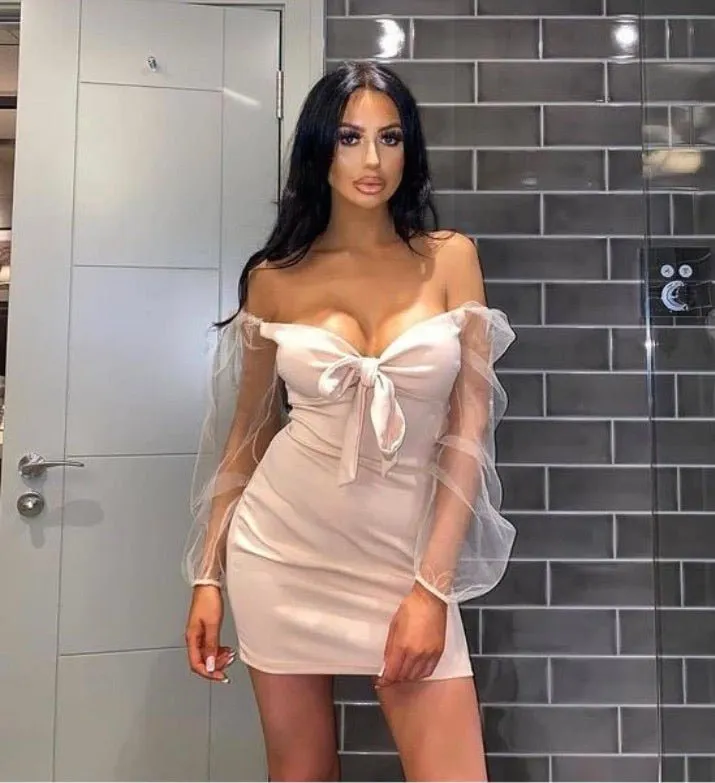 Pastel Tie Up Detail Long Sheer Sleeve Bodycon Mini Dress