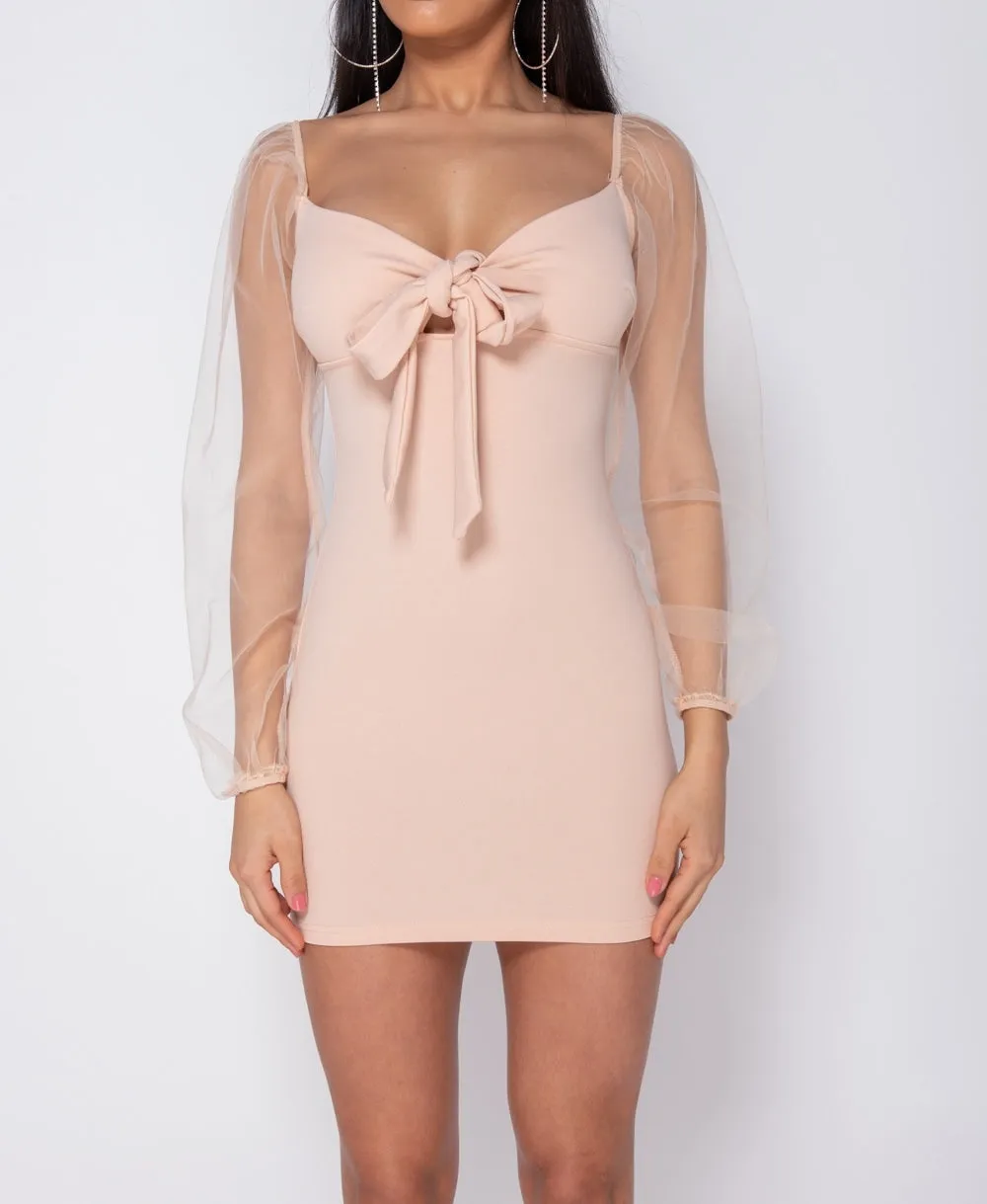 Pastel Tie Up Detail Long Sheer Sleeve Bodycon Mini Dress