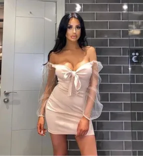 Pastel Tie Up Detail Long Sheer Sleeve Bodycon Mini Dress