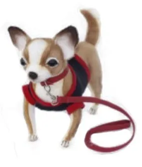Peluche Chihuahua gilet noire 22cm
